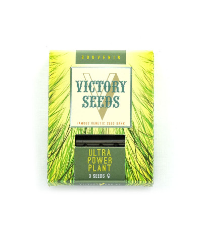 Семена сорта Ultra Power Plant fem (Victory Seeds)