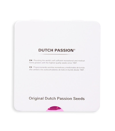 Семена сорта Auto Orange Bud fem (Dutch Passion)