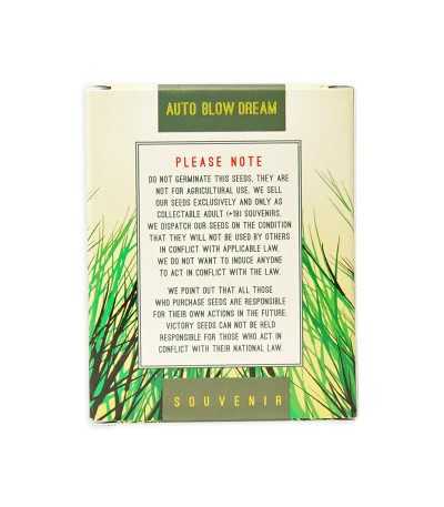 Семена сорта Auto Blow Dream fem (Victory Seeds)