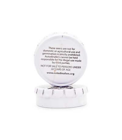 Семена сорта Haze XXL Autoflowering fem