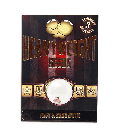 Семена сорта Fast & Vast Auto fem (Heavyweight Seeds)