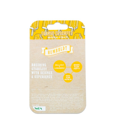 Семена сорта Orange Creampop fem (Humboldt Seed Company)