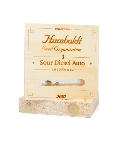 Семена сорта Sour Diesel Auto fem (Humboldt Seeds)
