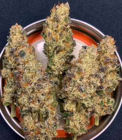 Семена сорта Nutter Budder fem (Humboldt Seed Company)