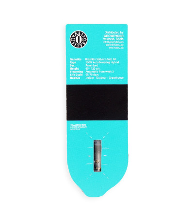 Семена сорта Sugar Gom auto fem