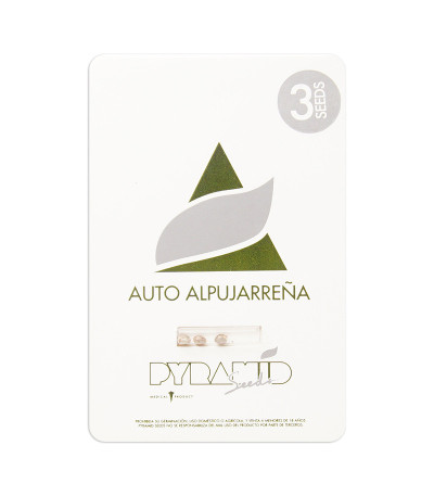 Семена сорта Auto Alpujarrena fem (Pyramid Seeds)