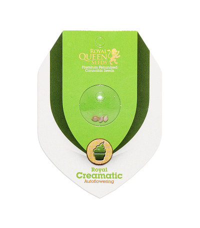 Семена сорта Royal Creamatic Auto fem (Royal Queen Seeds)