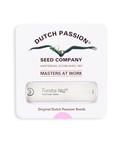 Семена сорта Tundra #2 Auto fem