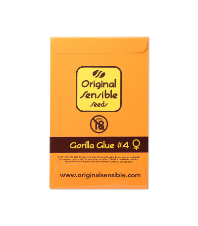 Семена сорта Gorilla Glue #4 fem (Original Sensible Seeds)
