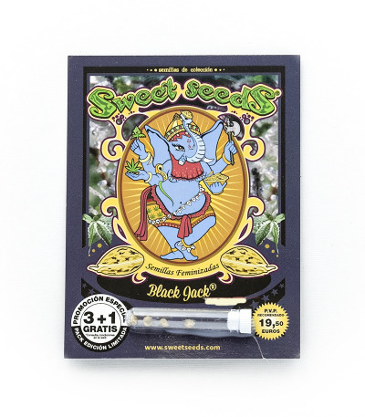 Семена сорта Black Jack fem (Sweet Seeds)