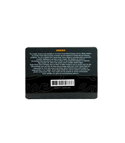 Семена сорта Super Lemon Haze Auto fem (Green House Seeds)