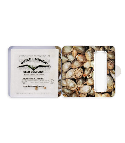 Семена сорта Auto Critical Orange Punch fem (Dutch Passion)