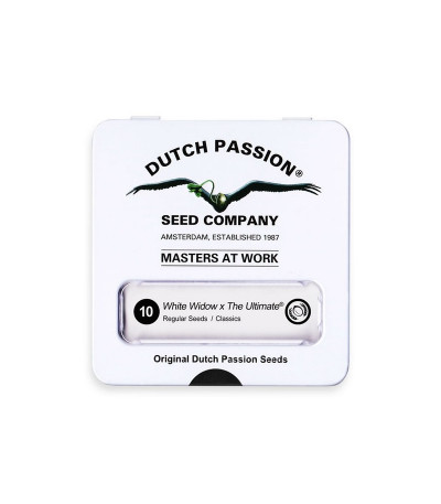 Семена конопли White Widow X The Ultimate regular в оригинальной упаковке