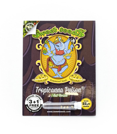 Семена сорта Tropicanna Poison F1 Fast Version (Sweet Seeds)