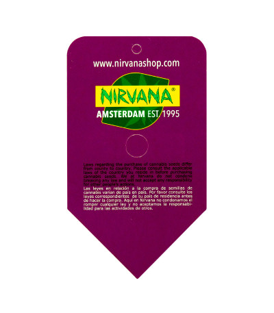 Семена сорта Snow White (Big Bud) fem (Nirvana Seeds)