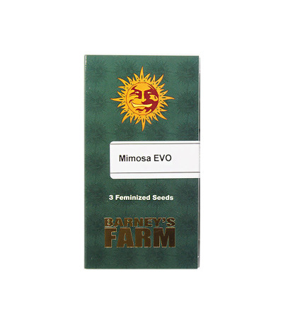 Семена сорта Mimosa Evo fem (Barneys Farm)