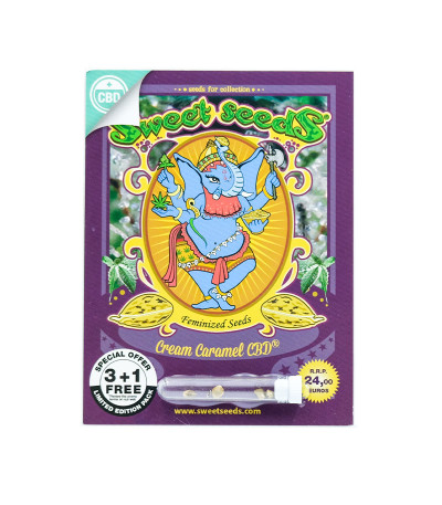Семена сорта Cream Caramel CBD fem (Sweet Seeds)