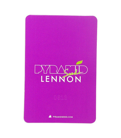 Семена сорта Lennon fem (Pyramid Seeds)