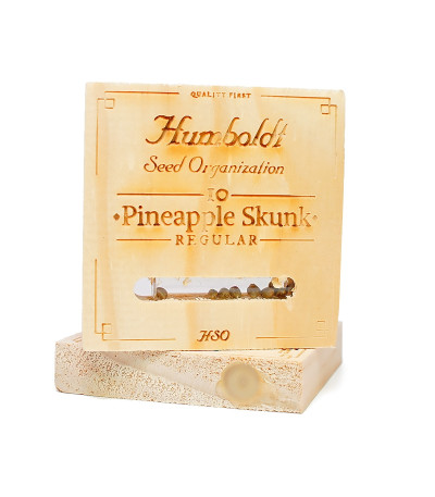 Семена конопли Pineapple Skunk reg в оригинальной упаковке