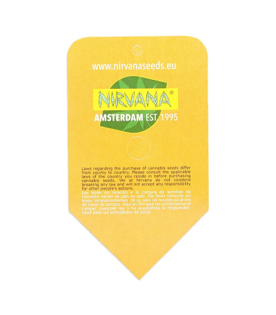 Семена сорта Bubblelicious Automatic fem (Nirvana Seeds)