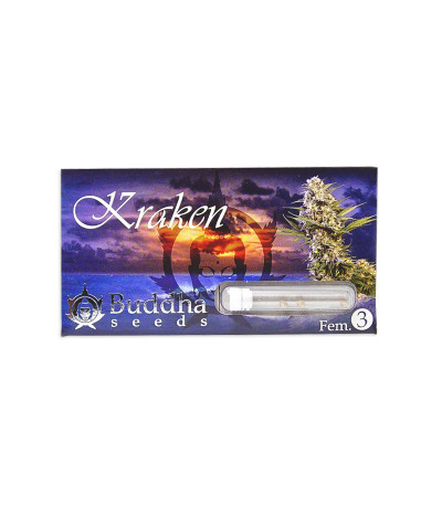 Семена сорта Buddha Kraken fem (Buddha Seeds)