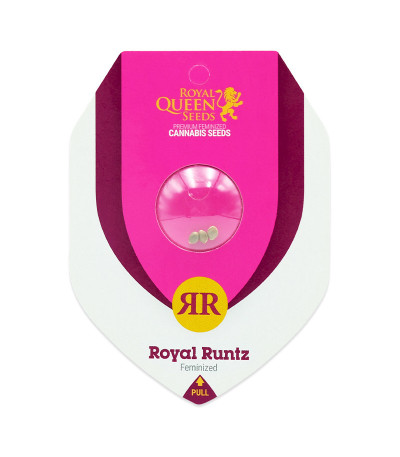 Семена сорта Royal Runtz fem (Royal Queen Seeds)