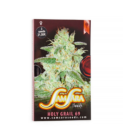 Семена сорта Holy Grail 69 fem (Samsara Seeds)