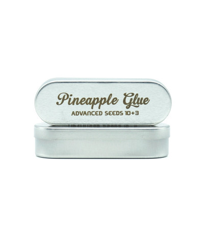 Семена сорта Pineapple Glue fem (Advanced Seeds)