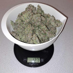purple-punch-og-xl-auto-fem-sweet-seeds.jpg