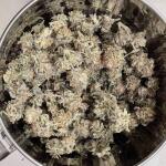 watermelon-zkittlez-fem-barneys-farm.jpg