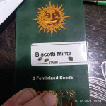 biscotti-mintz-fem-barneys-farm.jpg