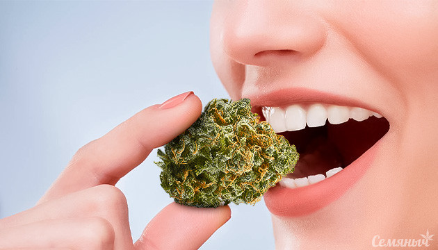 Эффект от свежей марихуаны
